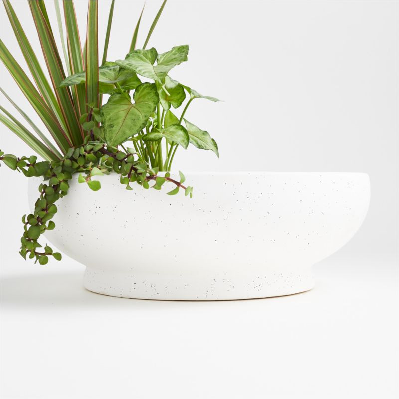 Jimena White Low Bowl Succulent Planter + Reviews | Crate and Barrel | Crate & Barrel