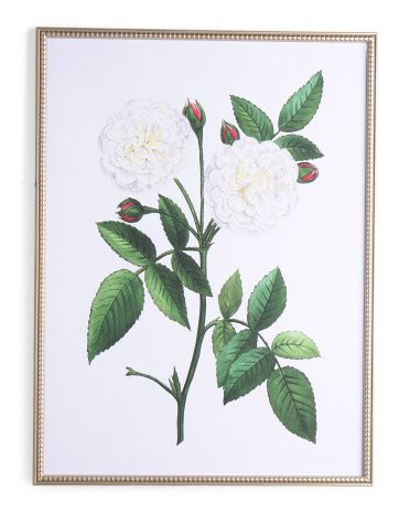 30x40 Vintage White Roses With Ornate Frame Wall Art | Home | Marshalls | Marshalls
