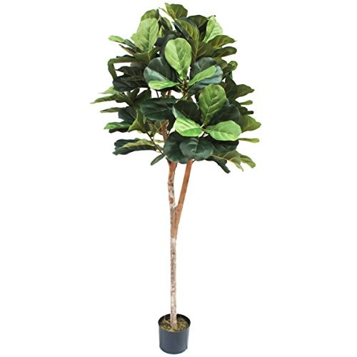6' Fiddle Leaf Fig Ball-Shaped Topiary Silk Tree w/Pot -Green | Amazon (US)