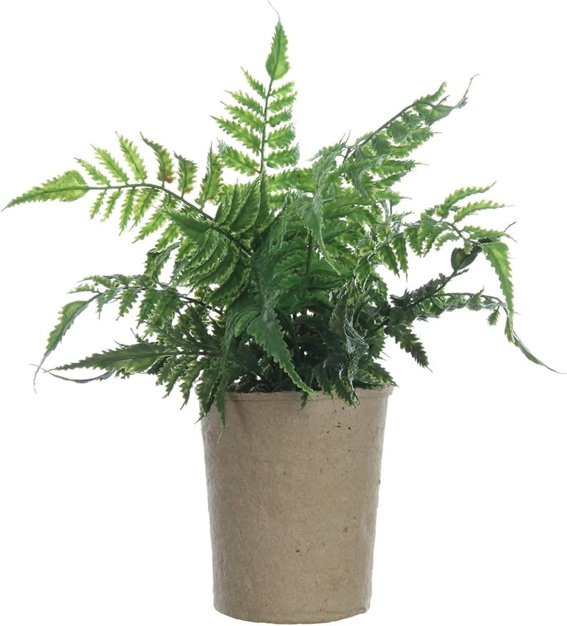 Creative Co-Op Faux Fern in Paper Pot | Amazon (US)
