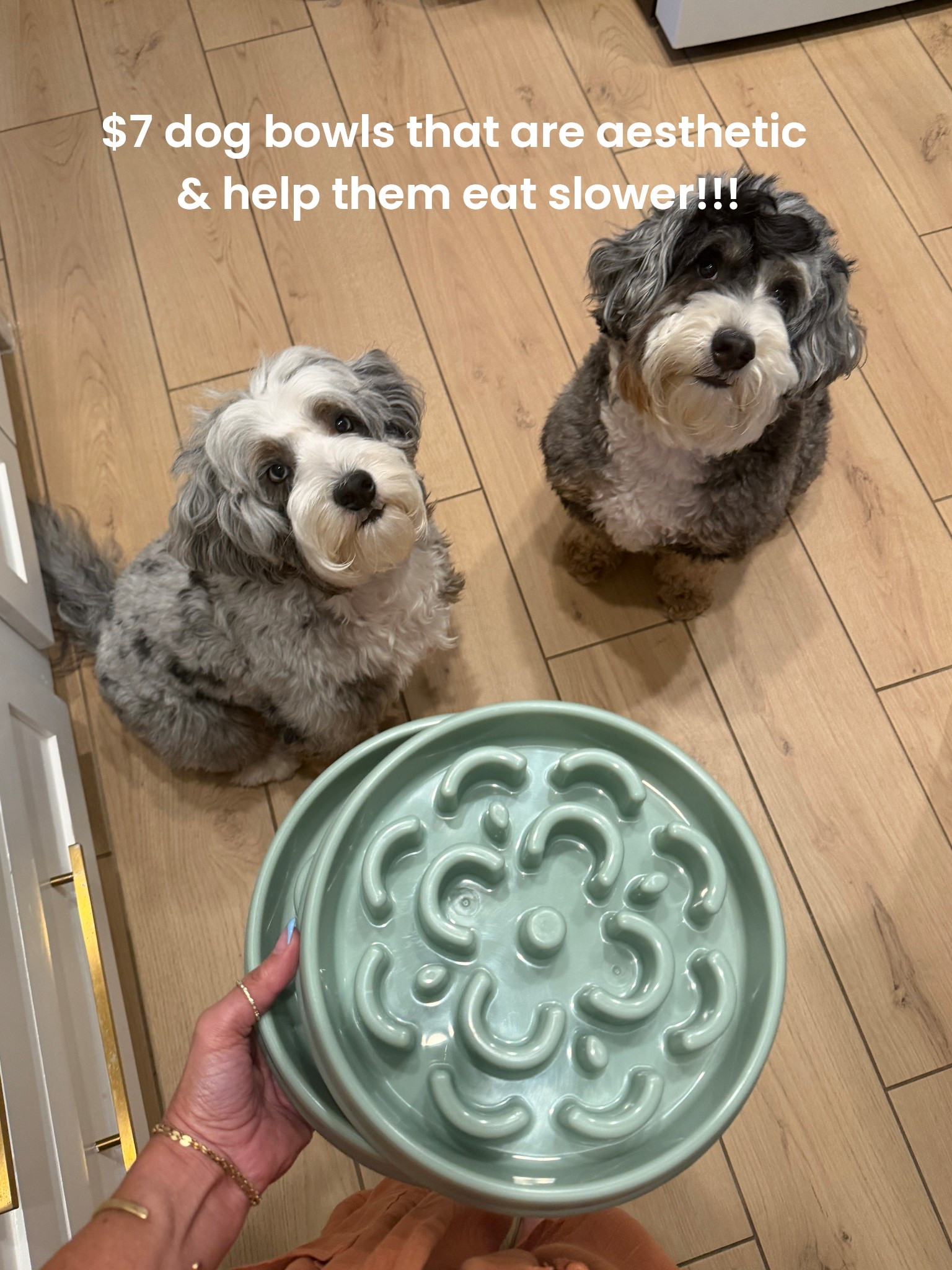 Love these cute food bowls for our girls!!!!
They help them eat so much slower!! Only $7!!! 