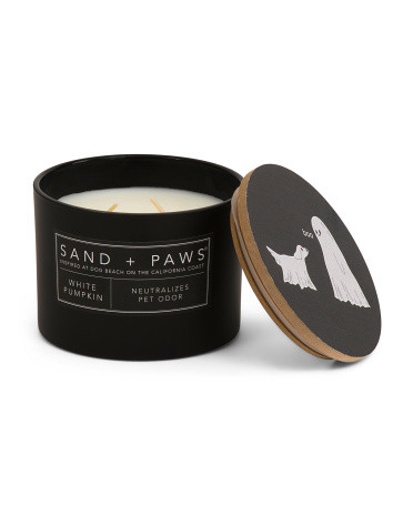12oz White Pumpkin Scented Candle | TJ Maxx