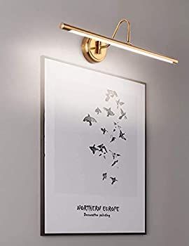 ECOBRT Modern LED Picture Lights, Full Metal Artwork Display Lighting Fixtures,24.4" Inch 14Watt, Pl | Amazon (US)