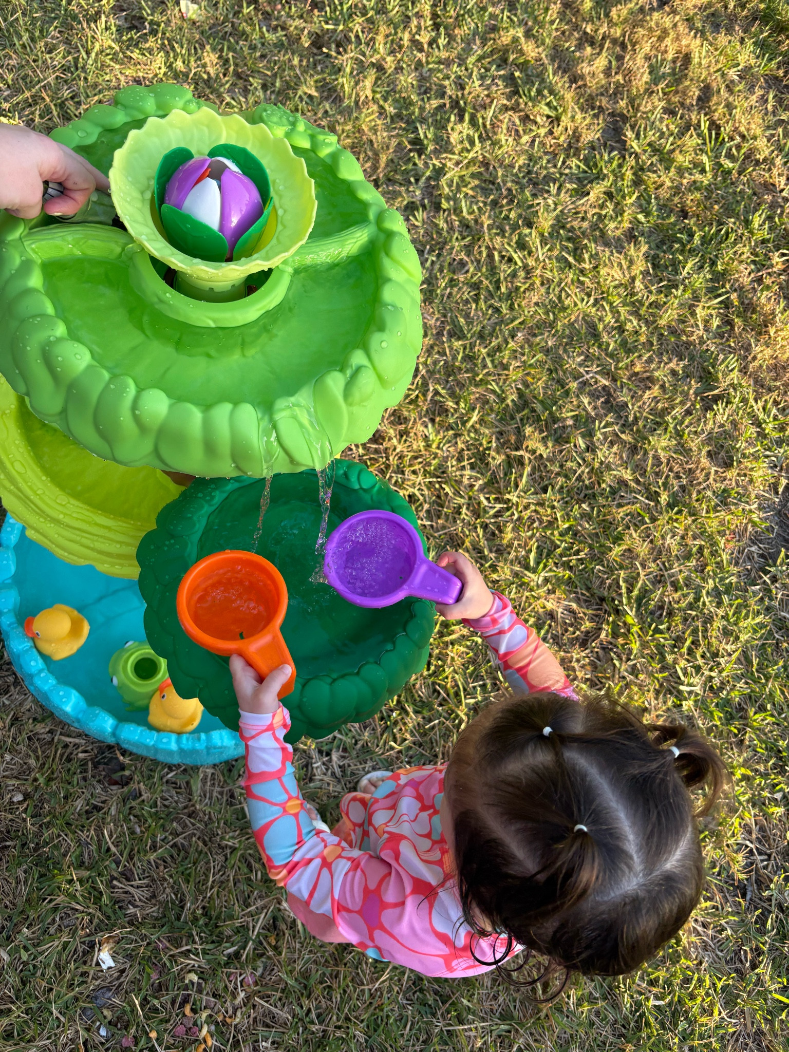 Perfect toddler finds to beat the heat🧡💚

#LTKSwim #LTKBaby #LTKKids