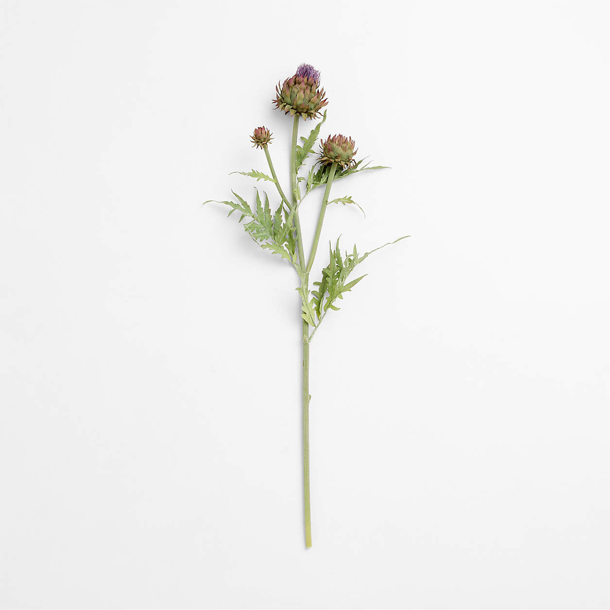 Faux Thistle Stem with Buds 37" | Crate & Barrel | Crate & Barrel
