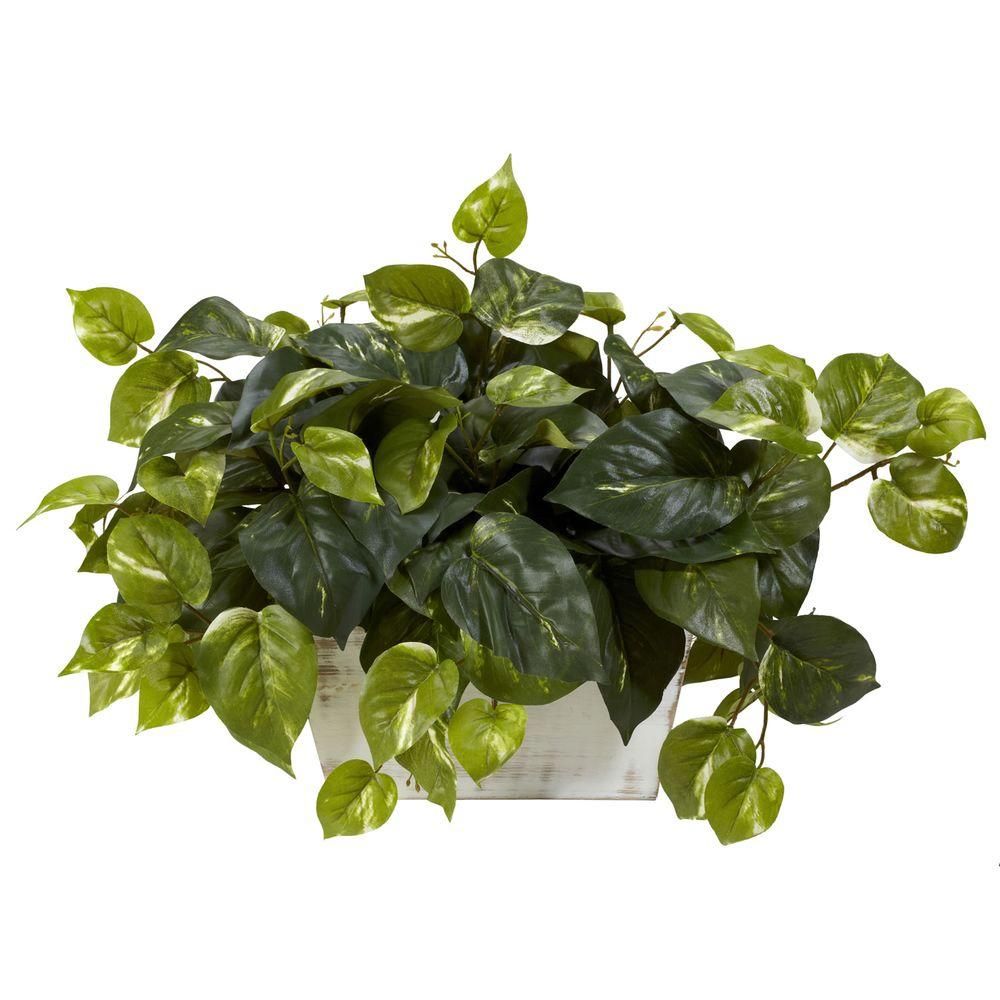 Nearly Natural 14 in. H Green Pothos with White Wash Planter Silk Plant | The Home Depot