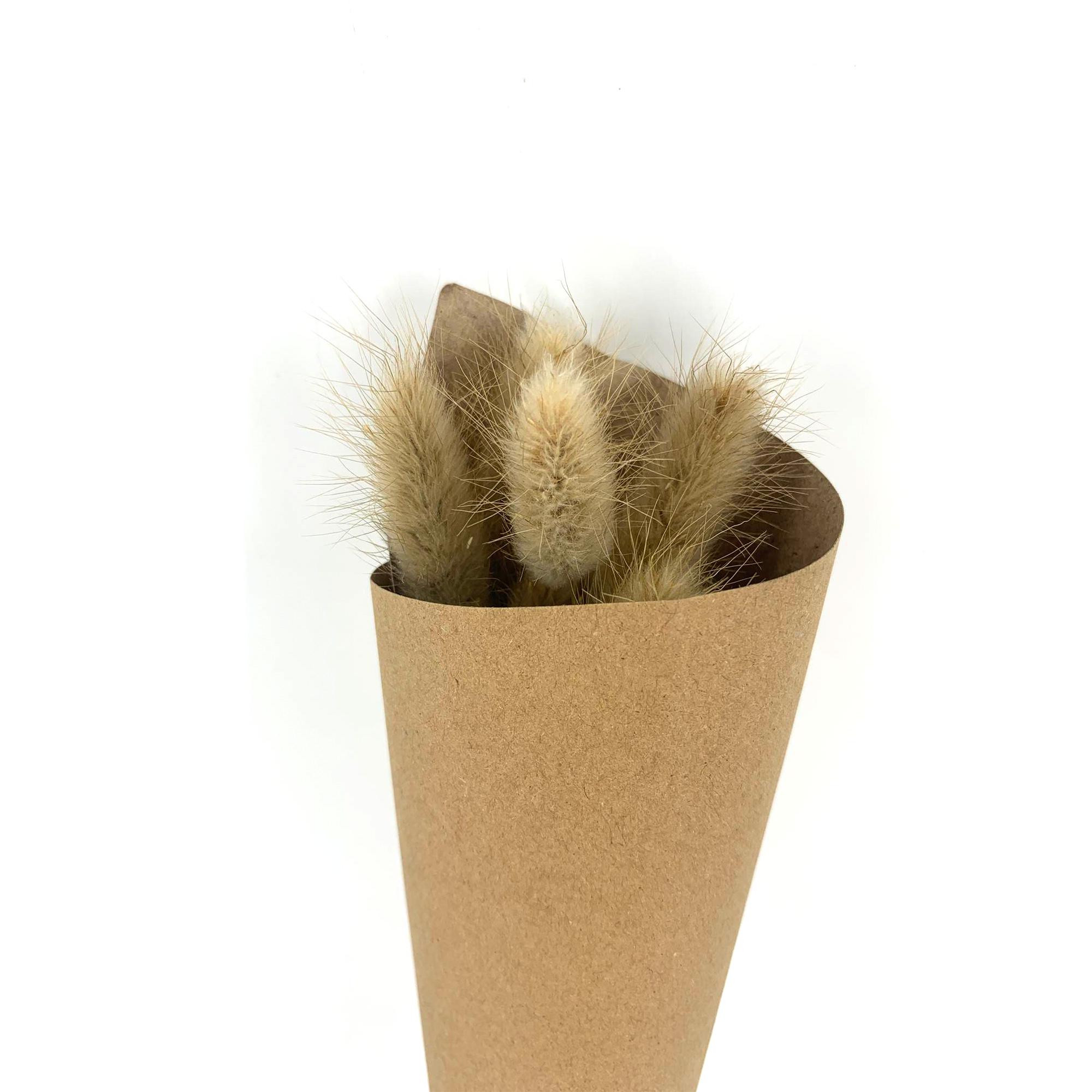 Habitat Mini Pampas Stems | Sainsbury's Online
