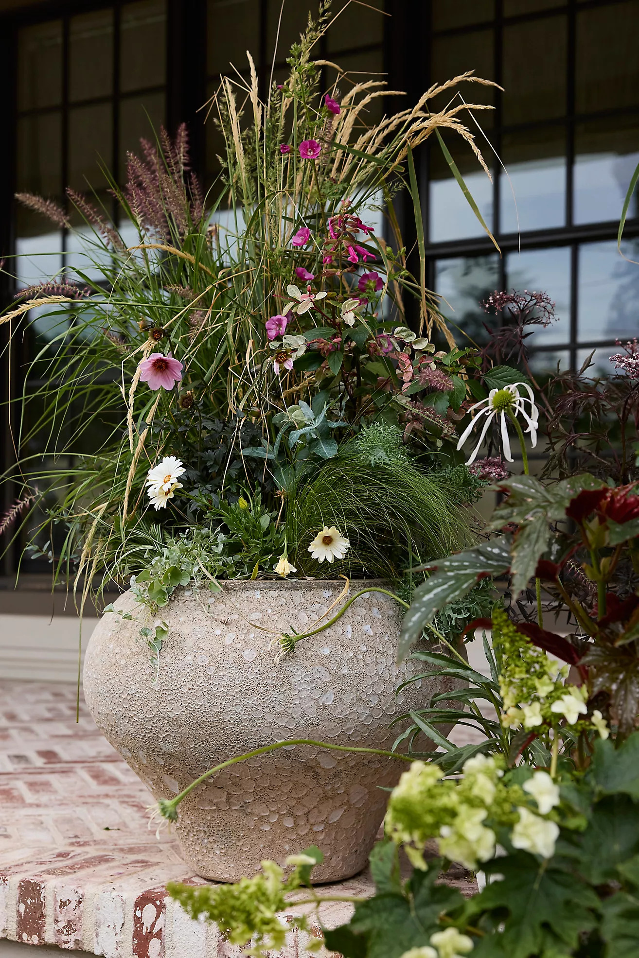 Barnacle Form Planter | Terrain