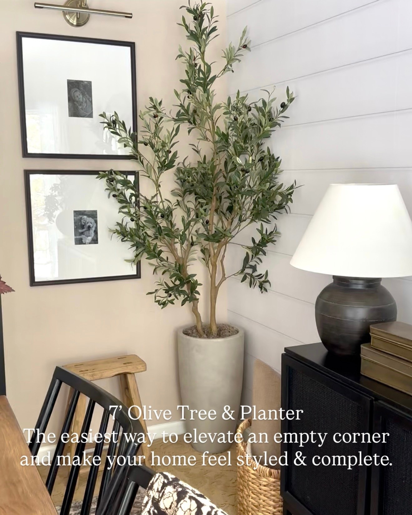 7’ Olive Tree & Planter on Sale

Follow @farmtotablecreations on Instagram for more home finds and styling ideas 🤍

Such an easy way to fill an empty corner and instantly make your space feel finished. This 7’ olive tree paired with a neutral planter adds height, texture, and that soft, natural look—plus it’s part of the Big Spring Deal right now.

#homedecor #fauxplant #planters #livingroomdecor #homefinds

olive tree | faux olive tree | tall indoor plant | planter pot | neutral decor | corner styling | living room decor | entryway decor | home styling | indoor tree | home finds | amazon home | target home | spring decor | modern home | organic decor | neutral home | decorative accents | home inspiration | cozy home | styled home | interior decor | faux greenery | home refresh | big spring deals

#LTKSaleAlert #LTKHome