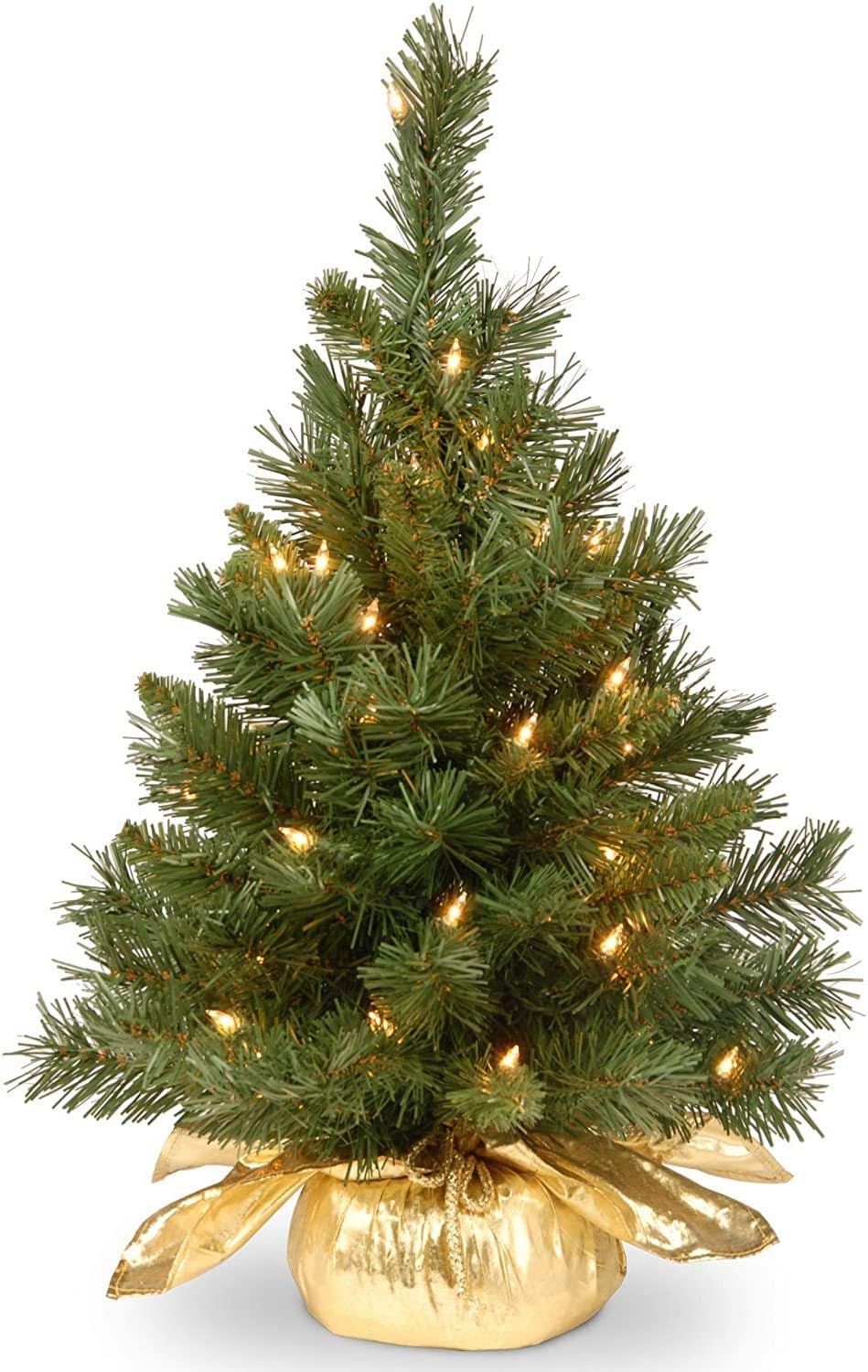 National Tree Company Pre-lit Artificial Mini Christmas Tree | Includes Small Lights and Cloth Ba... | Amazon (US)