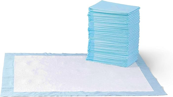 Amazon Basics Dog and Puppy Pee Pads with 5-Layer Leak-Proof Design and Quick-Dry Surface for Pot... | Amazon (US)