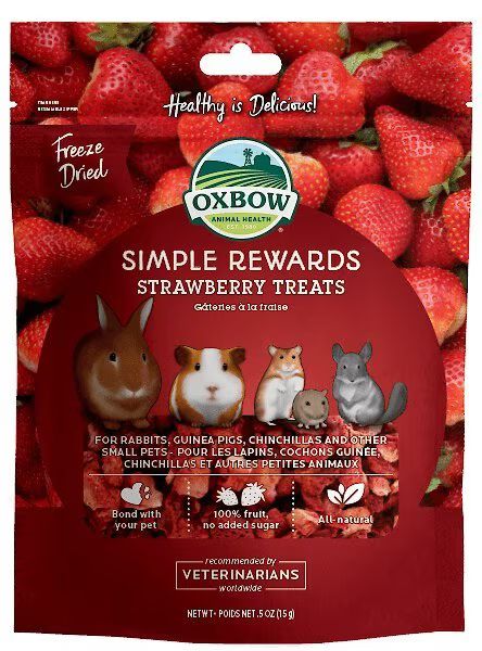 Oxbow Simple Rewards Freeze-Dried Strawberry Small Animal Treats, .5-oz bag | Chewy.com