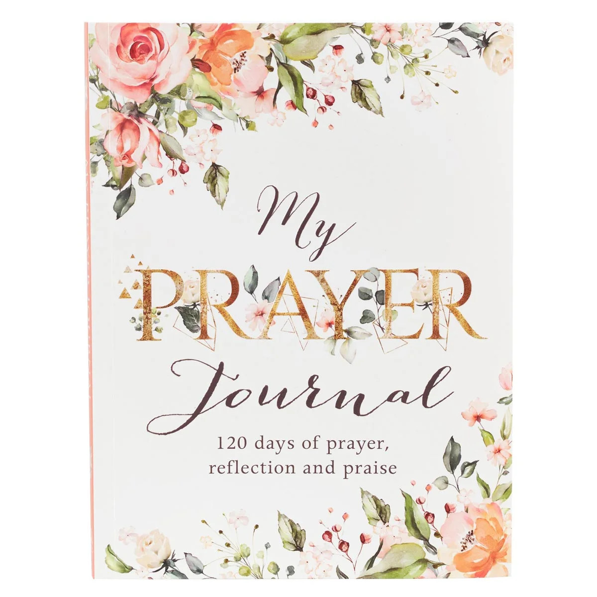 My Prayer Journal - 120 Days of Prayer, Reflection and Praise | Walmart (US)