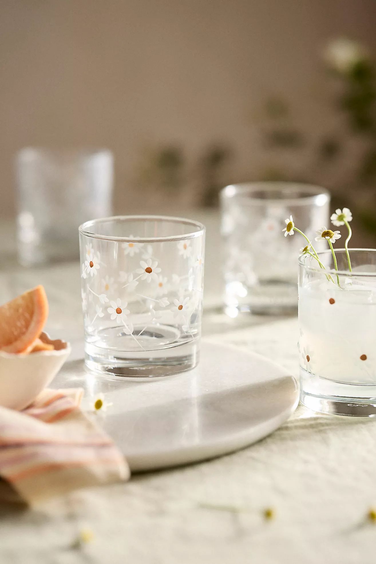 Daisy Etched Tumblers, Set of 4 | Anthropologie (US)