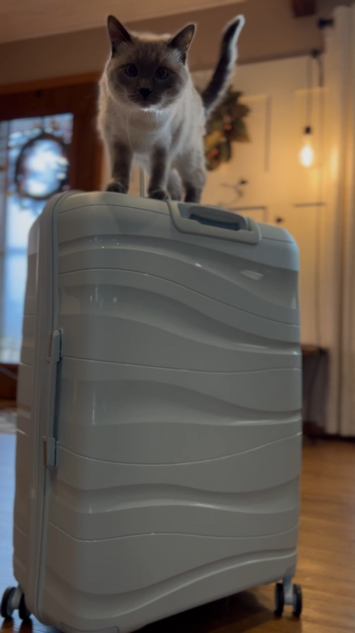 The cutest new luggage on super sale this week! 
This stuff rolls amazingly and I love the storage compartments- best part 5 piece under $150 

#LTKGiftGuide #LTKCyberWeek #LTKTravel