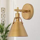 KSANA Gold Wall Sconces Lighting Fixture, Modern Vintage Wall Mounted Lamp 1-Light for Bedroom, Bath | Amazon (US)