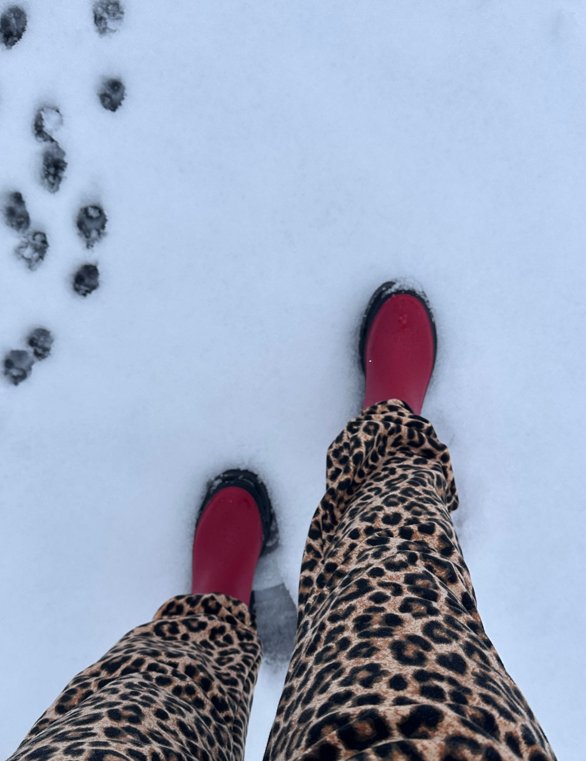 snow day essentials 🐆❤️

#LTKSeasonal #LTKGiftGuide #LTKFindsUnder100