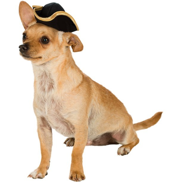 Rubies Pet Shop Boutique Pet Halloween Costume Accessory Classic Pirate Hat For Dog or Cat S/M | Walmart (US)