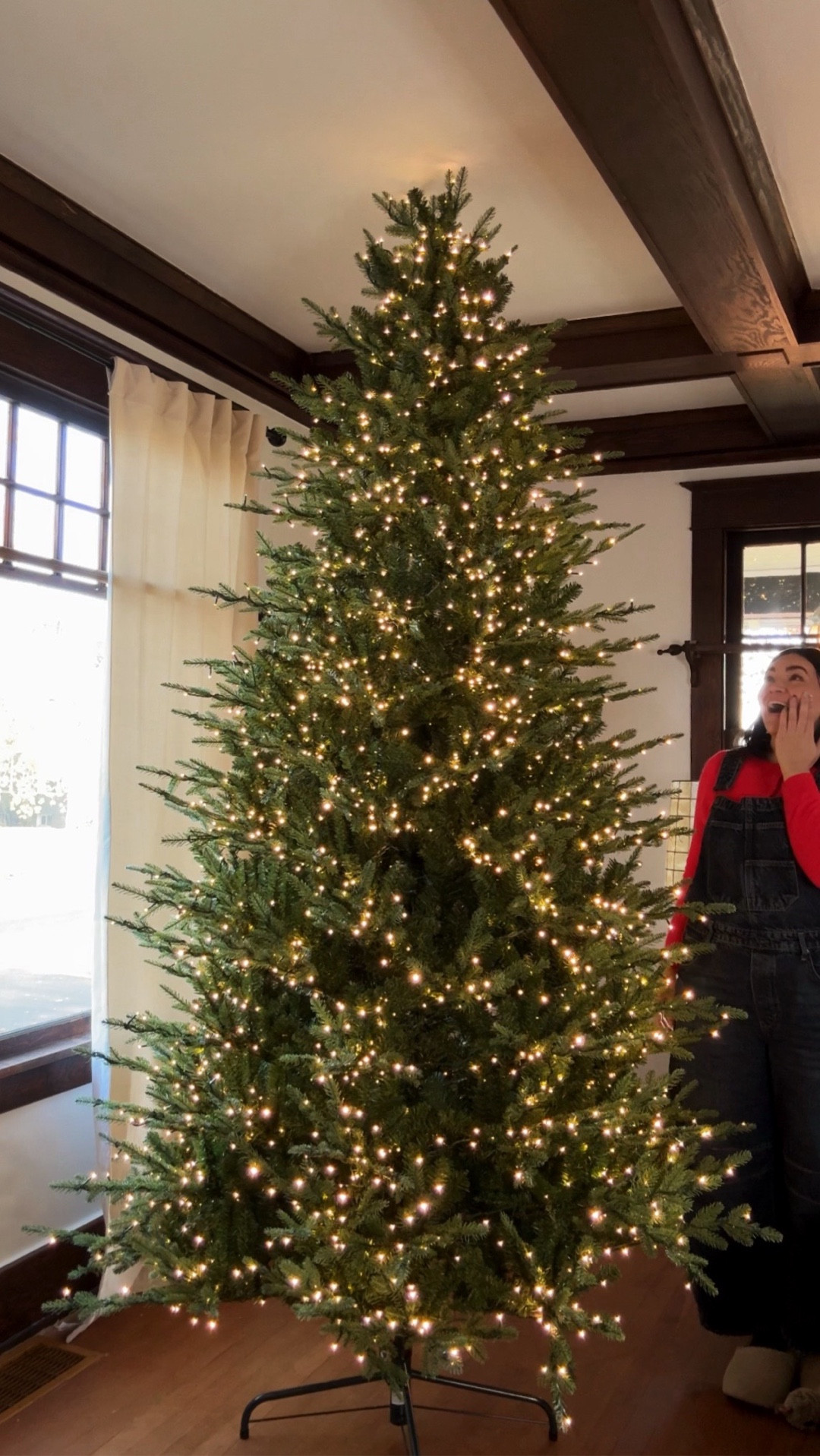 I’ve been waiting to get my hands on the viral twinkle tree for two years and it’s finally in stock! It was worth the wait!

Mine is the 9ft, it was such a fast easy setup and looks so natural!

#christmasdecor #christmastree #homedepot #holidayhome 

#LTKSeasonal #LTKHoliday