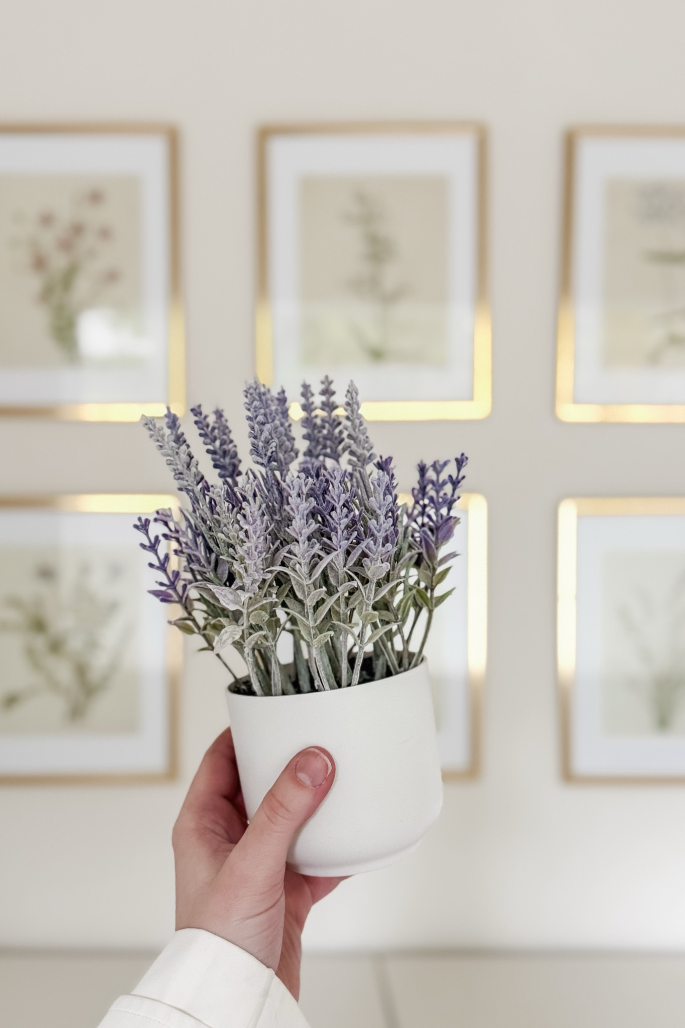 I have been looking for just the right small [non-breakable 🫣] floral arrangement for Sophie’s #LTKToddler room, which we have recently adjusted from her nursery decor. It’s more of a “wildflower meadow” type of vibe now and this little faux lavender (in a plastic pot 😉) is the perfect accent piece! 

I’ll be sharing some more details about her room soon, but couldn’t keep this little cutie to myself!

#LTKKids #LTKHome