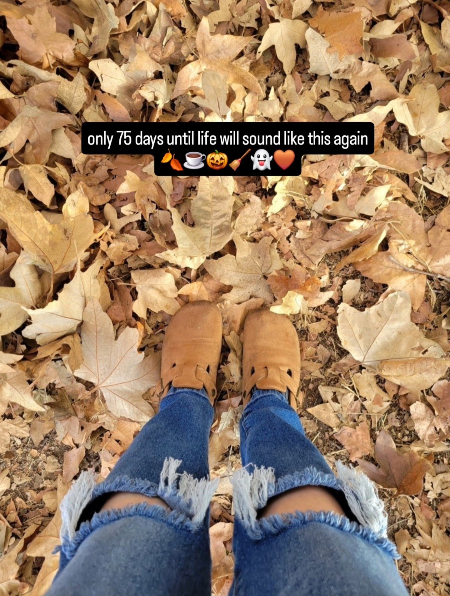 Cue the nightmare before christmas - I can't share the song here but I shared it on my TikTok @ amandaroblessed 🤭 Remember get a price drop notification if you heart a post/save a product 😉

✨️ P.S. if you follow, like, share, save, or shop my post (either here or @coffee&clearance).. thank you sooo much, I appreciate you! As always thanks sooo much for being here & shopping with me 🥹

| Halloween, halloween 2026, halloween decor, fall, fall decor, fall outfits, fall style, fall decor 2026, fall dresses, fall date, fall 2026, fall amazon, amazon fall, amazon fall fashion, fall boots, fall wedding, fall bags, fall clothes, fall capsule, fall coats, early fall, fall front porch, fall fashion 2026, fall home, fall home decor, fall garland, fall wedding guest, fall wedding guest dress, fall inspo, fall kitchen decor, fall looks, fall living room, fall porch, fall sweaters, fall trends, fall wreath, halloween porch, halloween decor, amazon halloween, pottery barn halloween, anthropologie halloween, halloween cups, halloween decorations, halloween disney, halloween garland, halloween outdoor decor, disney halloween outfits, halloween front porch, target halloween, walmart halloween, wedding guest dress, autumn fashion, autumn fashion trends, fall aesthetic, pumpkin patch, pumpkin, wedding guest dress fall, target fall, fall, fall fashion, fall outfits, fall boots, fall shoes, fall decor, fall dress, fall dresses, fall amazon, fall capsule, fall clothes, fall home decor, halloween, halloween decor | #amandaroblessed #LTKGiftGuide #LTKFindsUnder100 #LTKFindsUnder50 #LTKFestival #LTKSwim #LTKBump #LTKSaleAlert #LTKPetite #LTKKids #LTKstorytime #LTKActive #LTKOver40 #LTKMidsize #LTKBeauty #LTKfoodie #LTKdayinmylife #LTKSeasonal #LTKselfcare #LTKgrwm #LTKU #LTKPlusSize #LTKWedding #LTKmomlife #LTKBaby #LTKvlog #LTKHome #LTKTall #LTKfitnessgoals #LTKTravel #LTKMens #LTKootd #LTKmorningroutine #LTKWorkwear