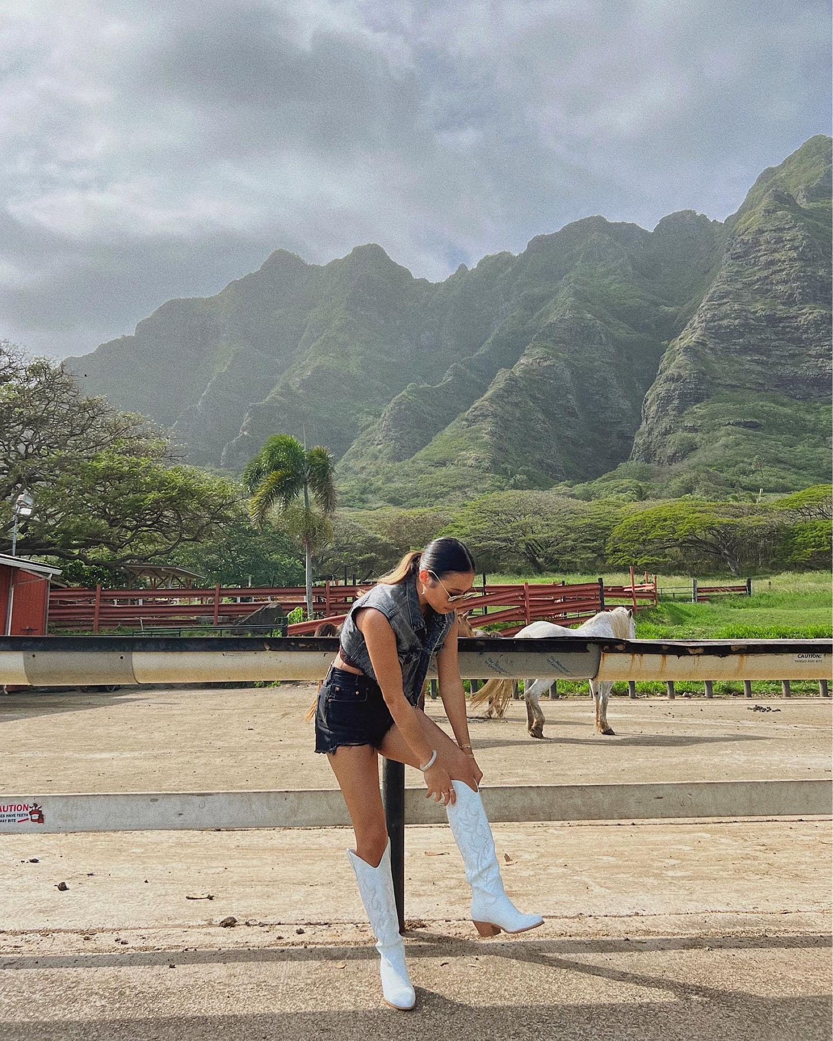 western outfit 🤠 | horseback riding outfit | white cowboy boots | cowgirl outfit | Levi’s denim | Levi’s shorts | black shorts | black denim | hawaii outfit | amazon fashion find 

#LTKunder100 #LTKstyletip #LTKshoecrush