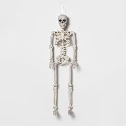 36" Posable Skeleton Halloween Decorative Mannequin - Hyde & EEK! Boutique™ | Target