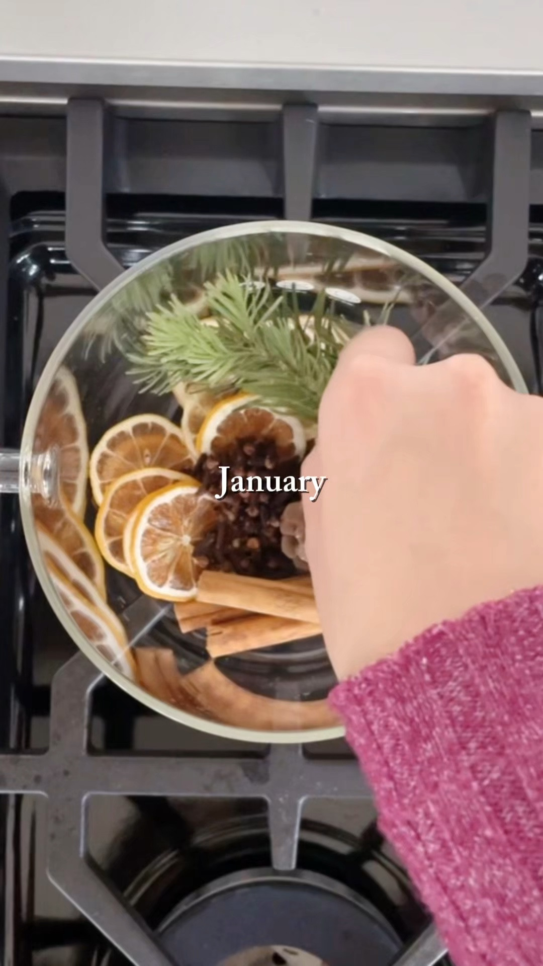 Monthly Simmer Pots (Stovetop Potpourri)

#LTKSeasonal #LTKHome #LTKU