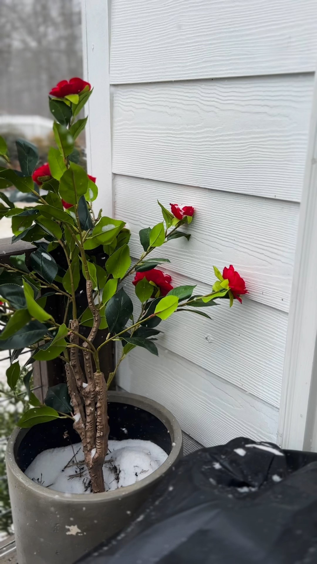 Patio, back deck, back porch, faux plant, plants, backyard, spring, spring refresh, patio, back patio, faux plants, Valentine’s Day, valentines, Christmas, fall, red, red flowers, flowers 

#LTKValentine #LTKHome #LTKSeasonal