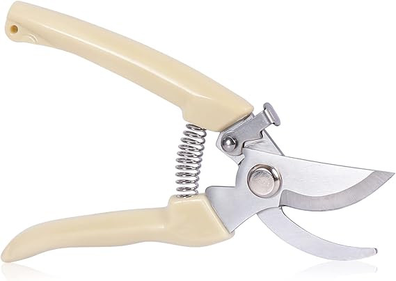Garden Scissors for Plant, Tip Pruning Shears for Cutting Flowers, Trimming Plants, Bonsai and Fr... | Amazon (US)
