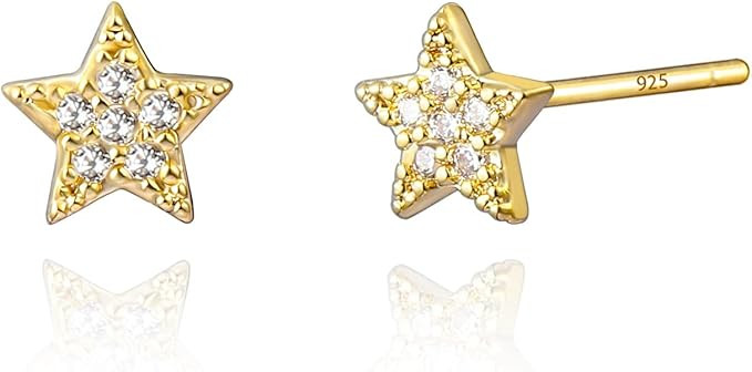 14K Gold Plated Dainty Star Stud Earrings for Women Girls | Amazon (US)