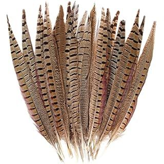 AWAYTR 20pcs Natural Pheasant Feathers - Pheasant Tail 8-11inch(21-28cm) for DIY Decoration (Fema... | Amazon (US)