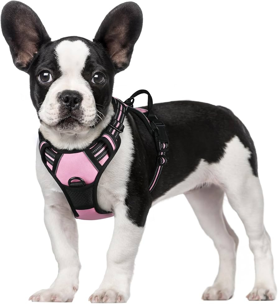 rabbitgoo Dog Harness, No-Pull Pet Harness with 2 Leash Clips, Adjustable Soft Padded Dog Vest, R... | Amazon (US)