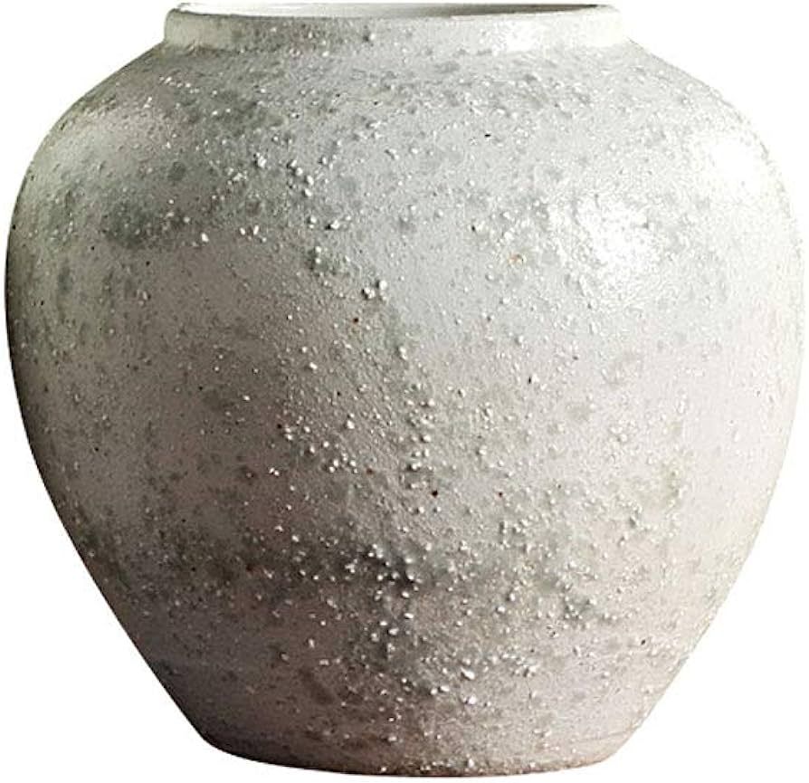 Ceramic Vase Nordic Retro Home Decoration Ornaments Flower Arrangement Porcelain Bottle DELICATEW... | Amazon (US)