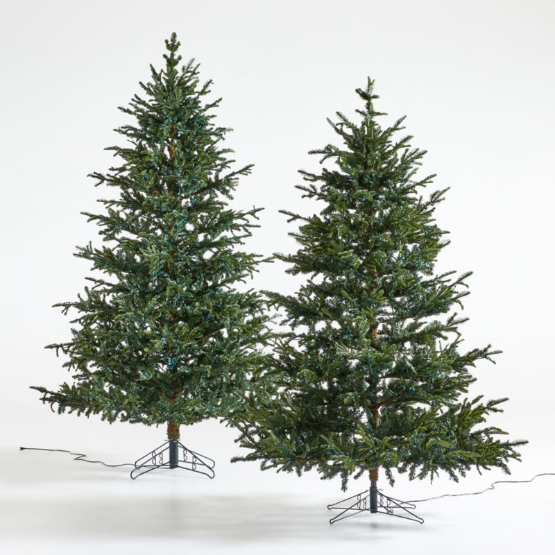 Faux Noble Fir Pre-Lit LED Christmas Trees with White Lights | Crate and Barrel | Crate & Barrel