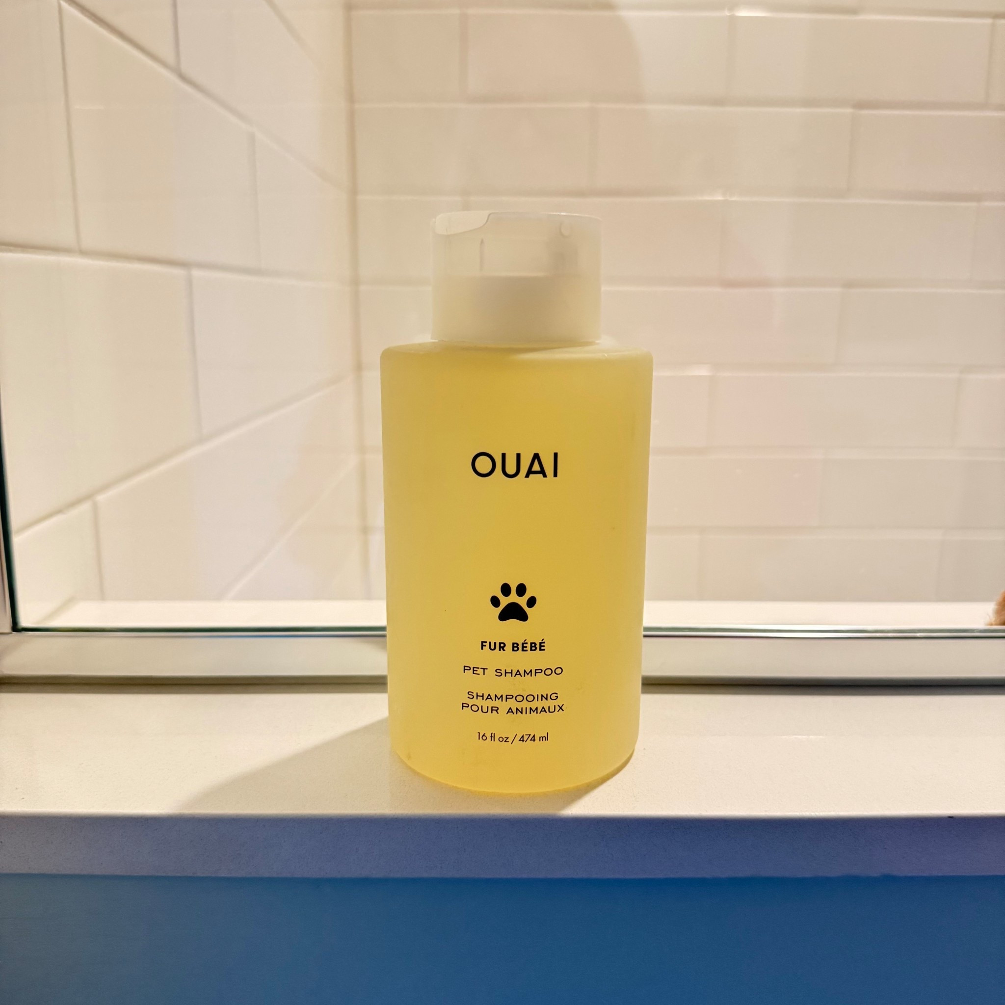My absolute favorite products for Barkley’s bath time 🐶🫧

I’ve always loved OUAI for myself, so I had to try their pet line—and I’m obsessed. Their pet shampoo leaves Barkley’s coat so soft, shiny, and smelling amazing (like that signature OUAI scent 🤍).

What I love most:
• Gentle, skin-friendly formula (perfect for sensitive pups)
• Helps hydrate and nourish the coat
• Leaves fur super soft and manageable
• That clean, luxe scent that actually lasts

I also use a pet glove brush during bath time to really work the shampoo in and remove loose hair—it makes such a difference for a deeper clean and less shedding after 🙌🏼

Bath time, but make it elevated ✨

#DogMomFavorites #PetCareEssentials #OUAIPets #DogBathRoutine #CleanDogClub

#LTKdayinmylife