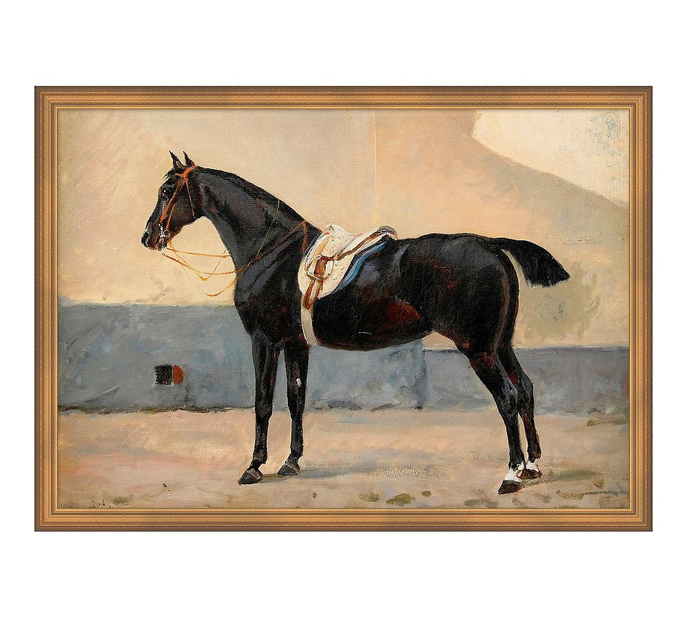 Elegant Midnight Horse Framed Canvas Print | Pottery Barn (US)