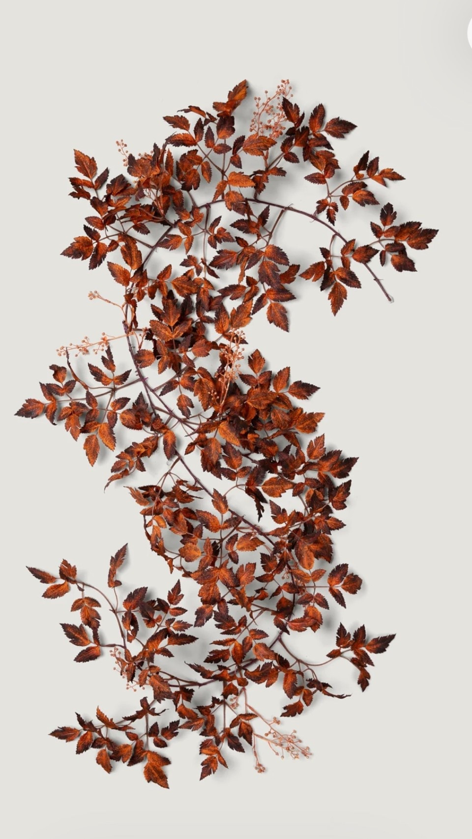 Cannot wait for its arrival! Buy one get one 30% off with code MIXMATCH!