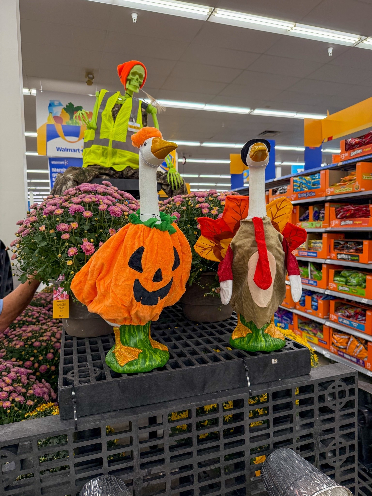 Stop it right now!! @Walmart has porch geese & outfits for under $20!!! I think I need one 😆

#LTKSeasonal #LTKHome