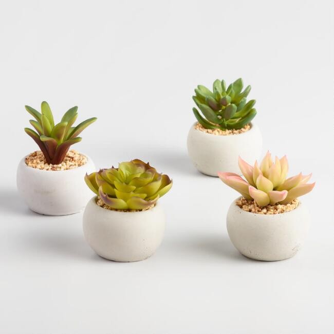 Mini Succulent Cement Pots Set of 4 | World Market
