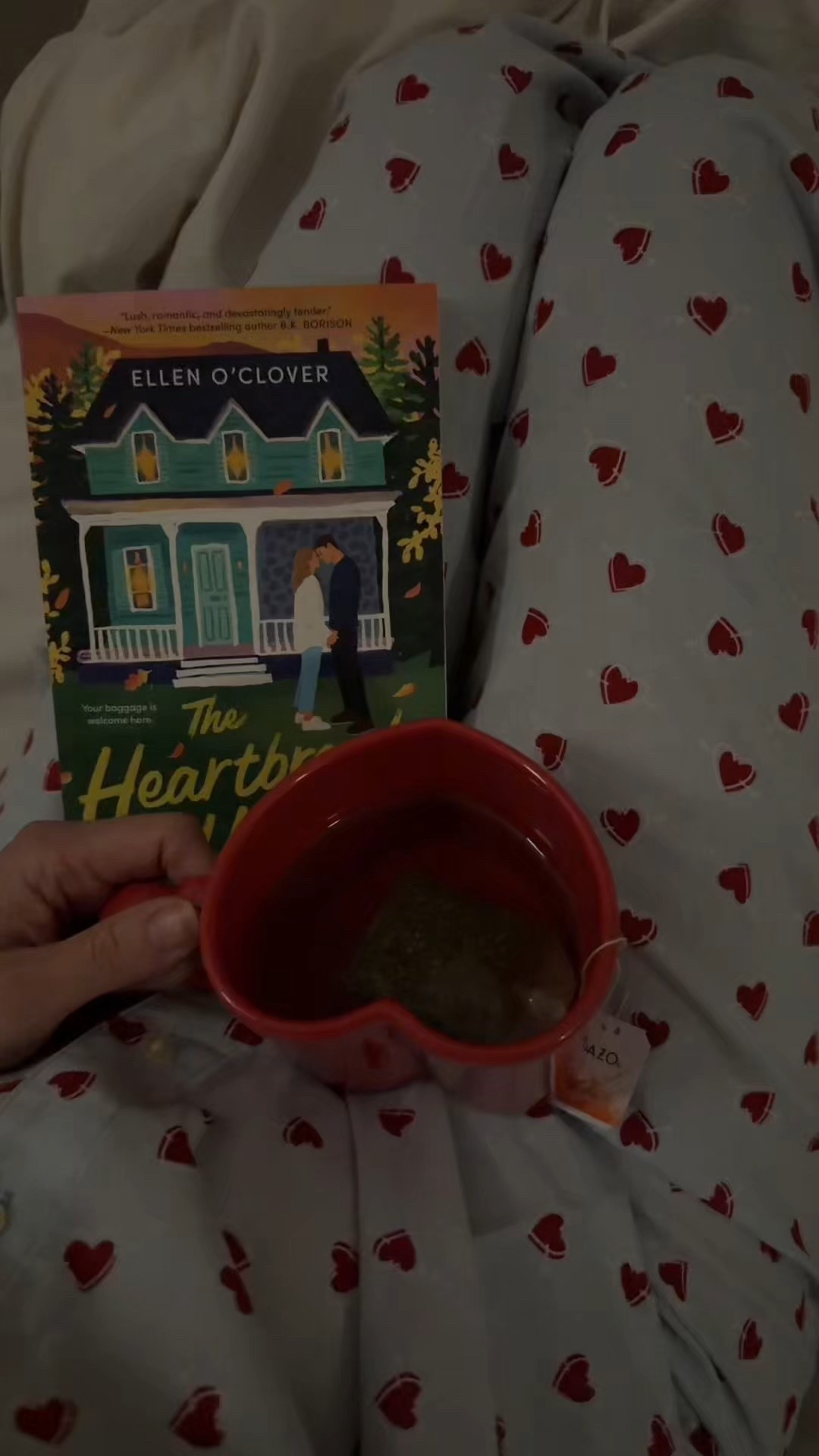 What I’m reading in February. 2026 reads. Easy romance book. Valentine’s Day pajamas with hearts. Heart shaped mug. Valentine’s Day cozy evening. Heart shaped eye patches. Valentine’s Day girls night. 
Book nook diary series. 

Scone lights in our bedroom 
Electric tea kettle 

#LTKmomlife #LTKValentine #LTKdayinmylife