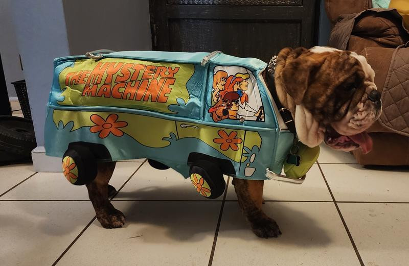 Rubie's Costume Company Halloween Scooby Doo Mystery Machine Dog Costume | PetSmart