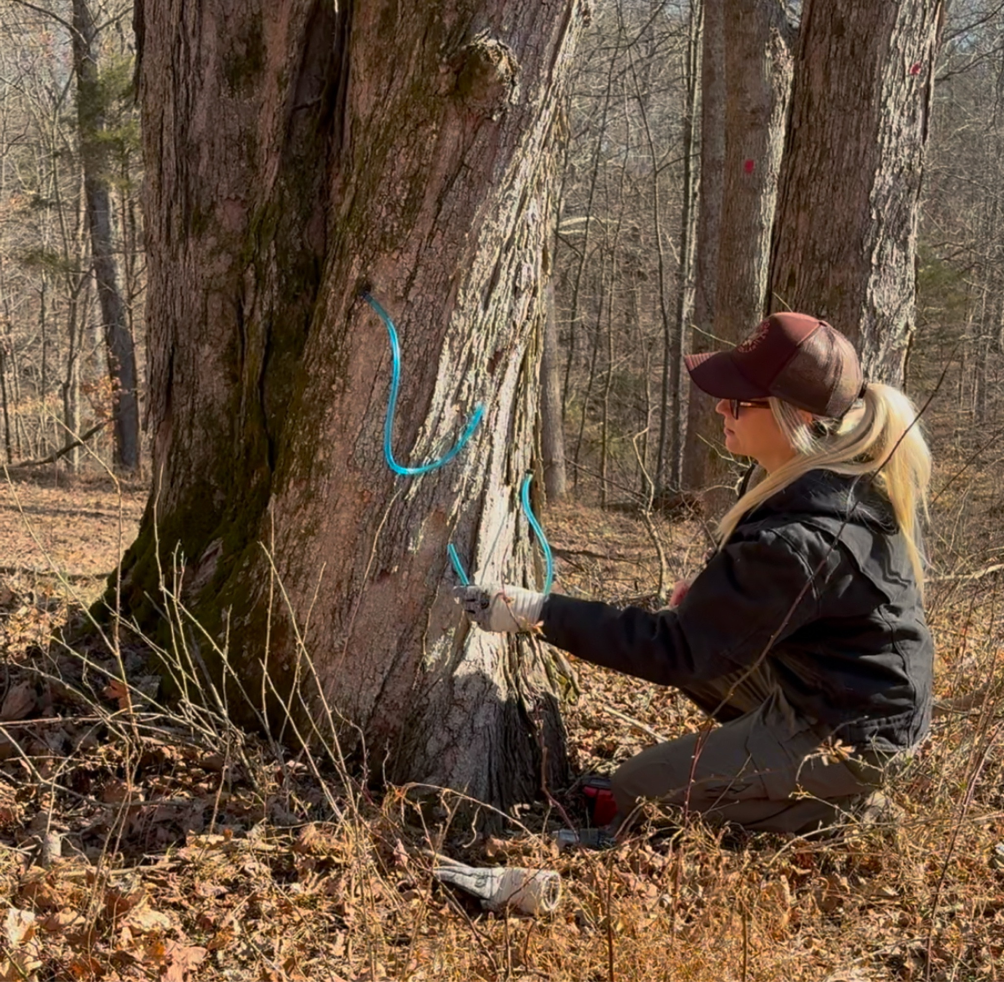 Maple syrup time!!

Here’s a list of the supplies I use for sap collection, & syrup making! 

These spout/hoses come in 2 or 3 foot sizes, & I haven’t found these food grade buckets cheaper anywhere else. 

#LTKHome #LTKWatchNow #LTKSeasonal
