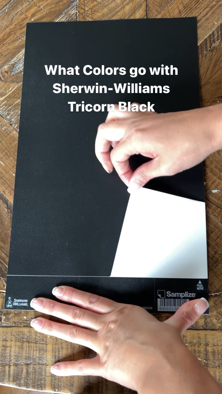 What Colors go with Sherwin-Williams Tricorn Black | Paint Color Ideas | Peel and Stick Paint Samples | Samplize | Paint Color Samples | Paint Color Inspiration | Paint Color Combinations | Sherwin-Williams Paint

#LTKhome