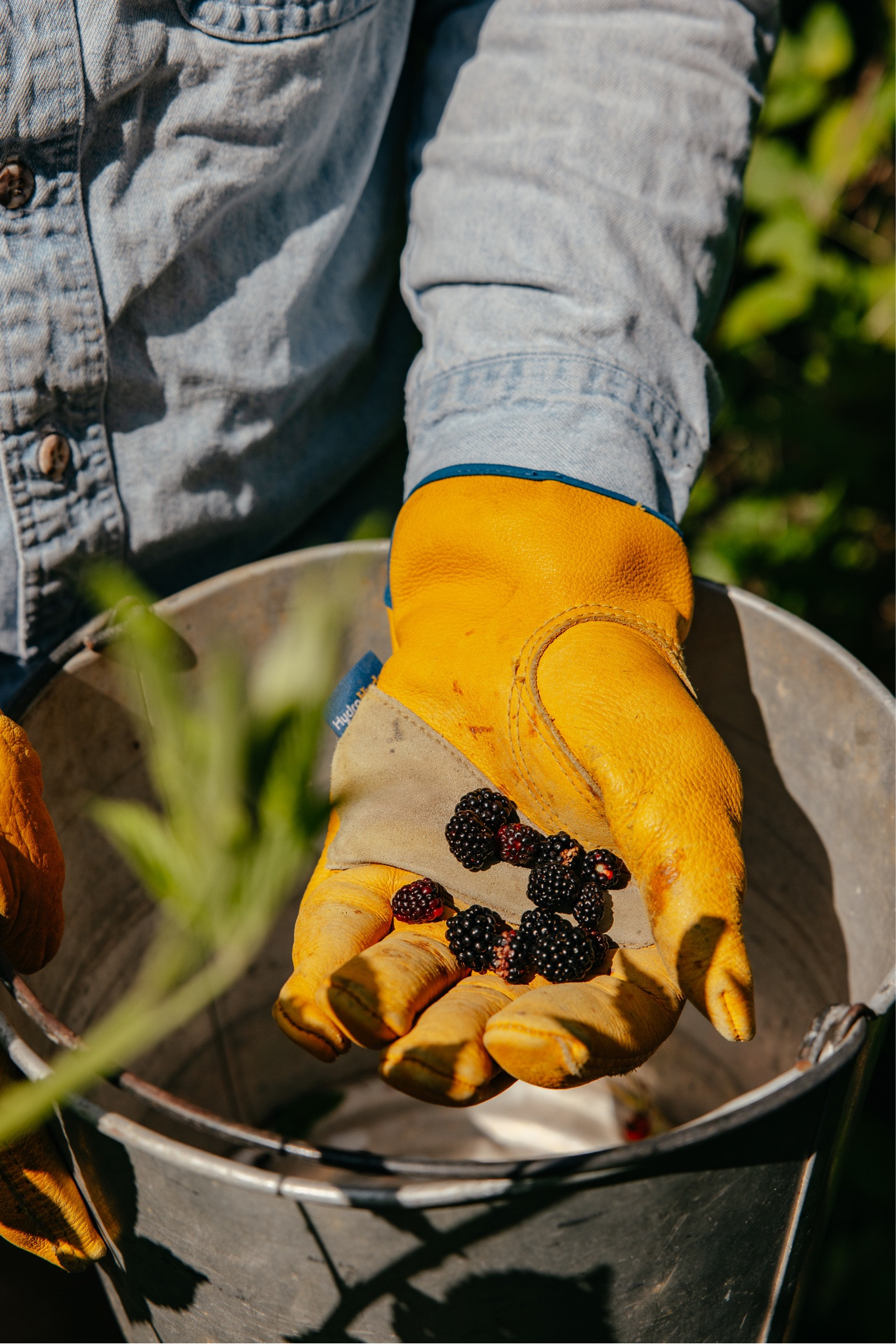 Ripe for the picking 🥰