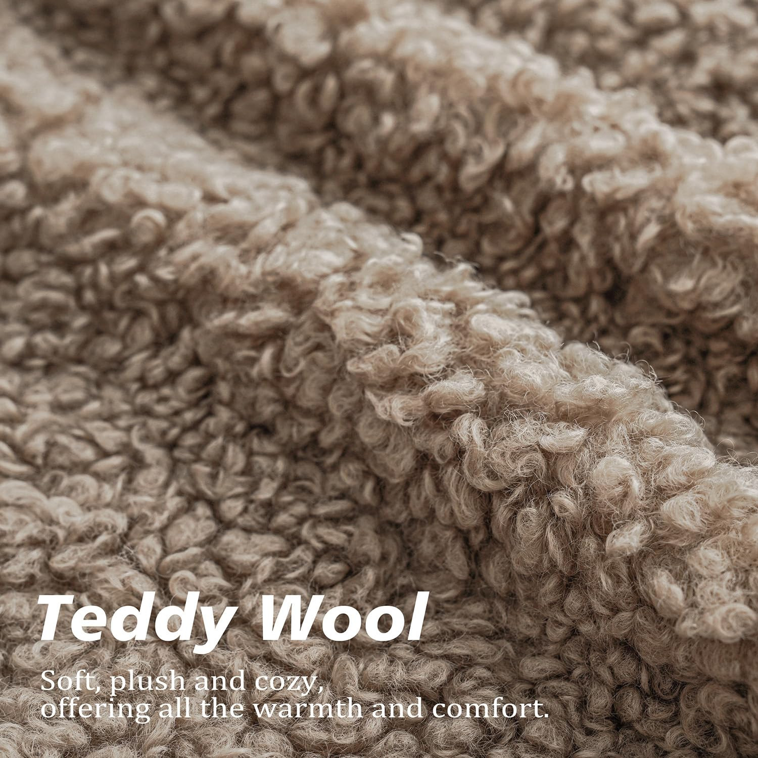 Foindtower 2 Pieces Teddy Faux Fur Throw Pillow Cover Decorative Sherpa Pillow Fuzzy Sheepskin Ac... | Amazon (US)