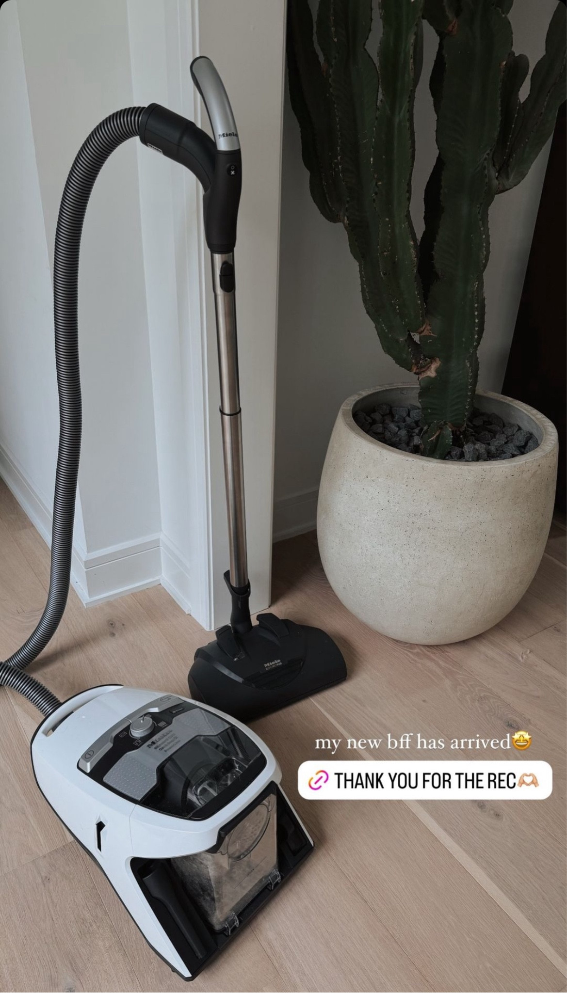 My new bff🤩

#LTKHome #LTKStyleTip