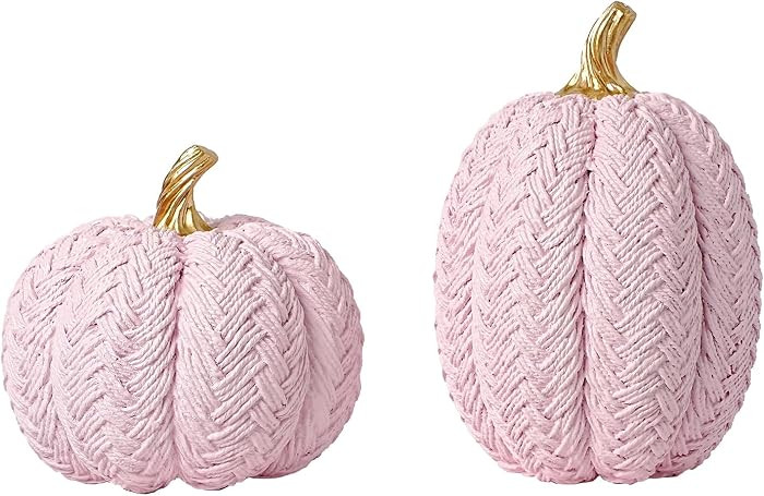 2pcs Pink Fall Pumpkins, Small Resin Braided Pumpkins Autumn Table Decor | Amazon (US)