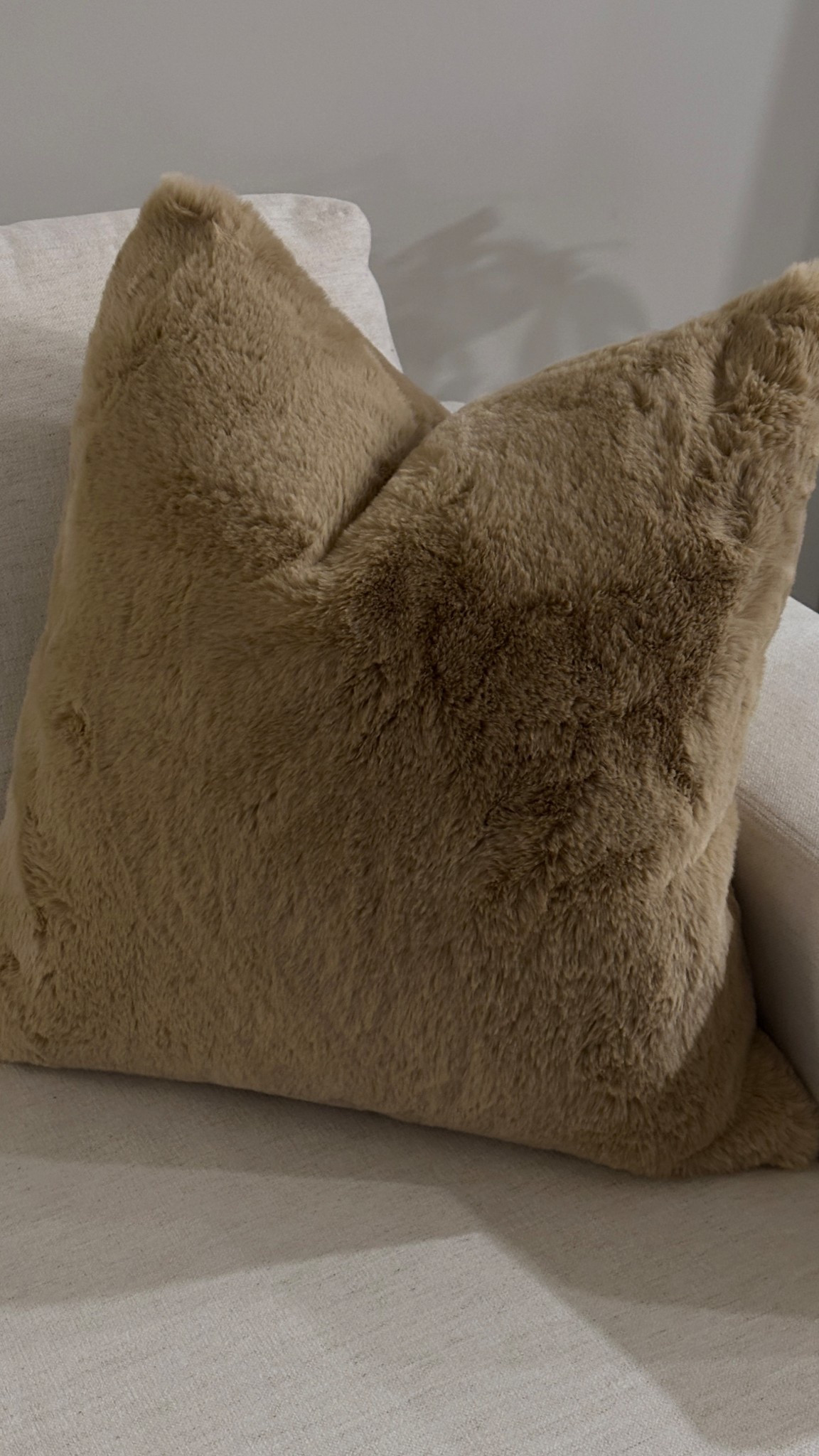 the softest pillows ever! I bought ginger beige 

#LTKGiftGuide #LTKHoliday