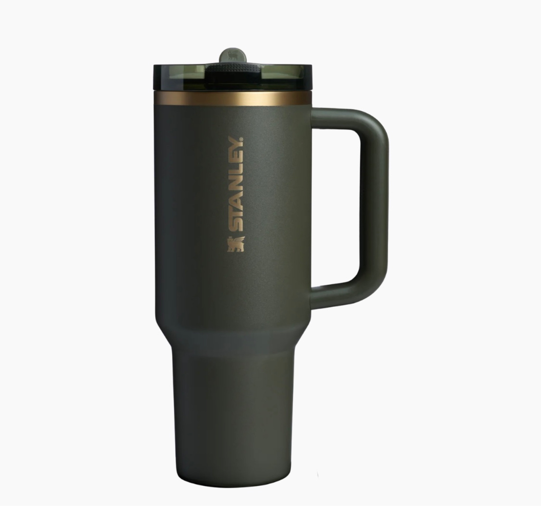 New Stanley ProTour! This green & gold combo *chefs kiss*



#LTKHome #LTKGiftGuide #LTKFindsUnder50